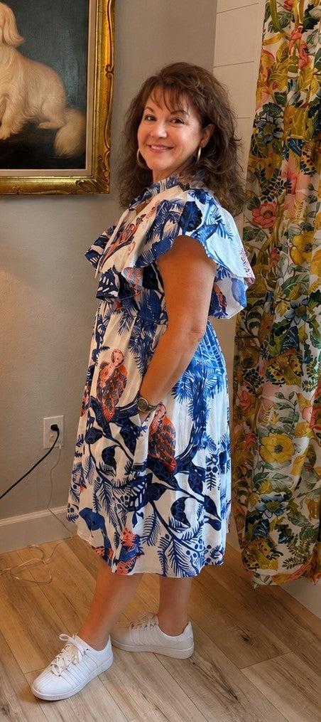 Cotton Blue and White Owl-Print Dress.
